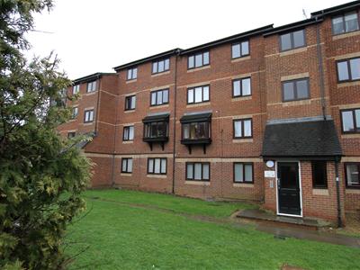 Picture 13